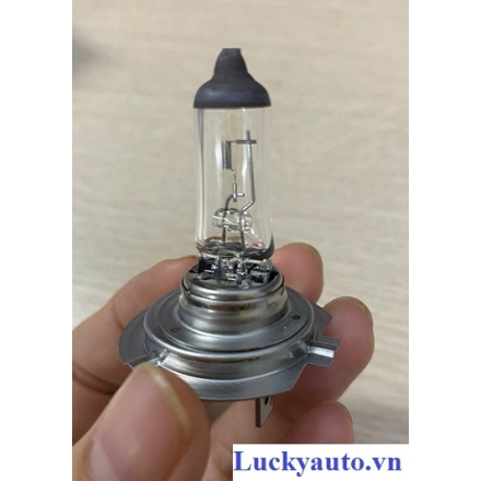 Bóng đèn cospha H7 xe BMW 740iL_ 63210395443